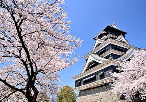 熊本エリア